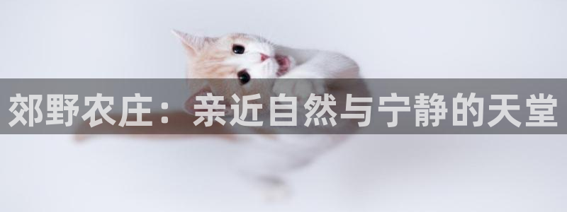 fh至尊是什么平台