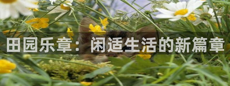 FH至尊娱乐