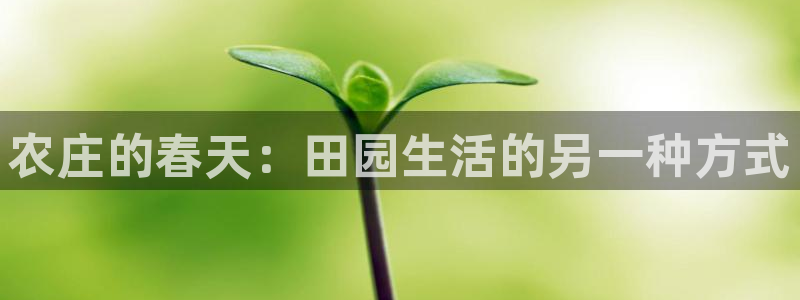fh至尊平