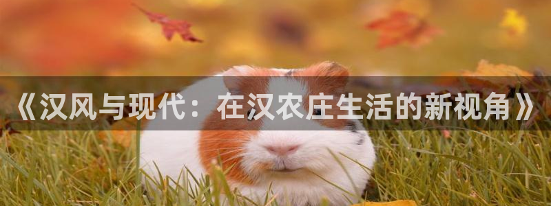 fh至尊最新版本