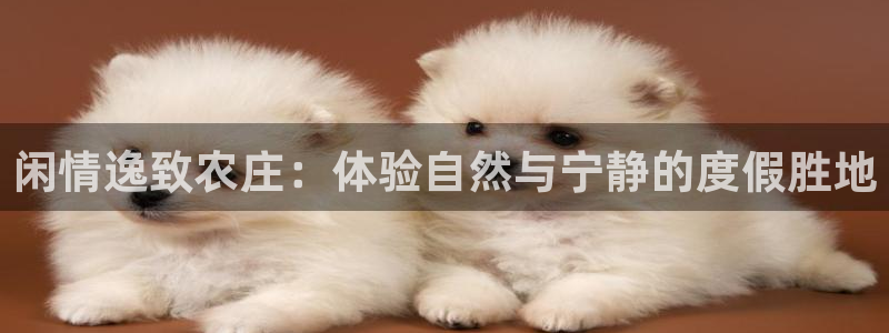 fh至尊黑不黑
