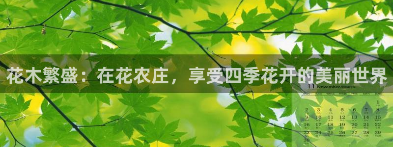 fh至尊20