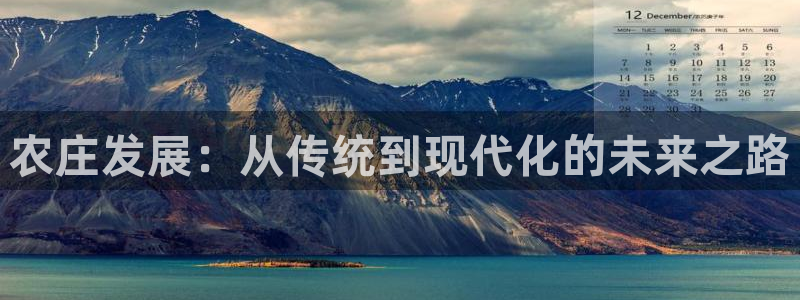 fh至尊平台多少年了