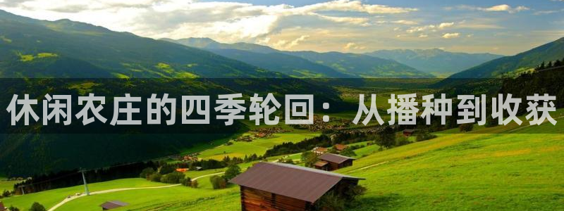 FH至尊平台老板是谁
