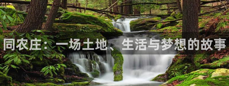fh至尊注册登陆