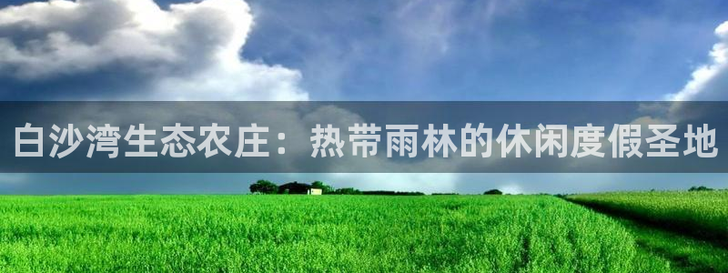 fh至尊诚信19年