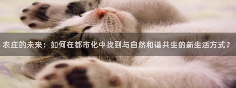 fh至尊怎么安装