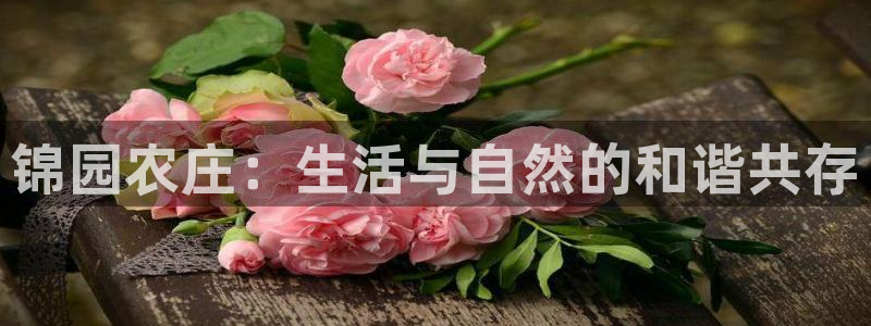 FH至尊登录官网