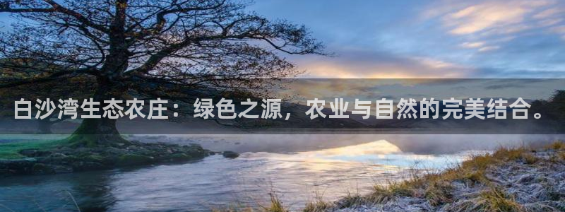 fh至尊什么意思