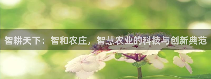 FH至尊登录不了