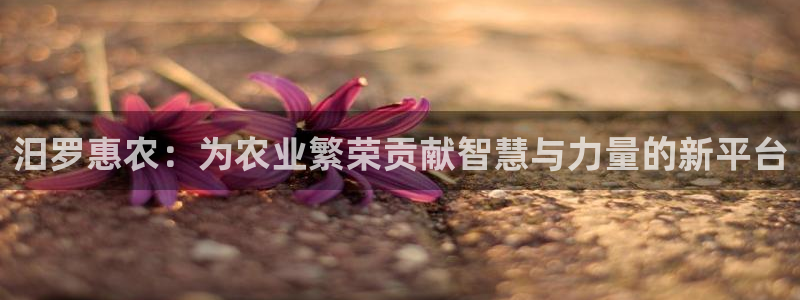fh至尊是不是假的
