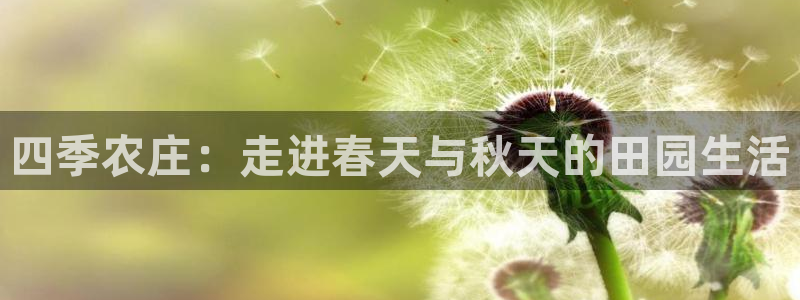 fh至尊多少年了