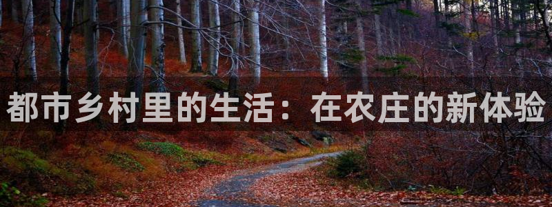 FH至尊平台老板是谁