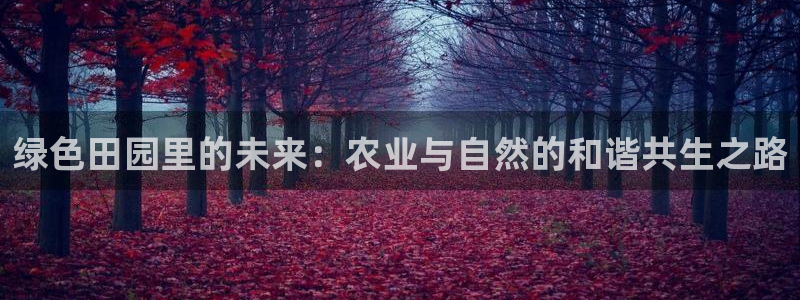 fh至尊手机端进不去