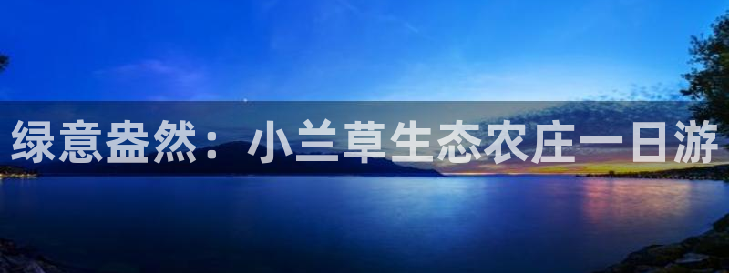 fh至尊平台怎么打不开了呢