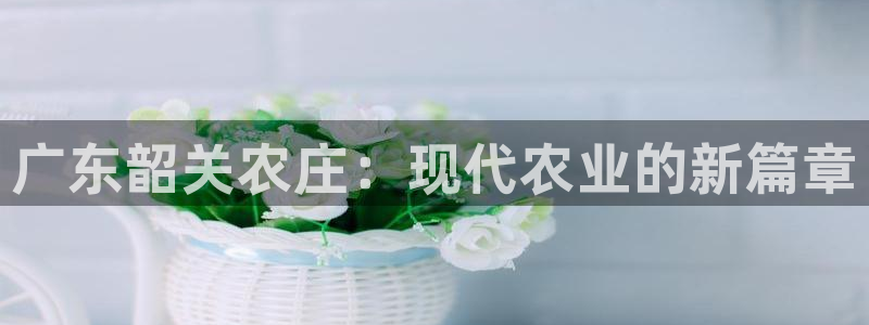 fh至尊是老凤凰吗