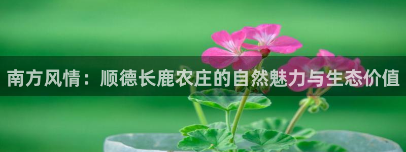 fh至尊在哪可以下载