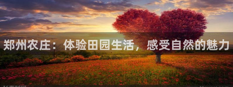 fh至尊平台怎么提现