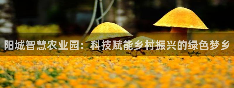 沃尔沃fh至尊旗舰版