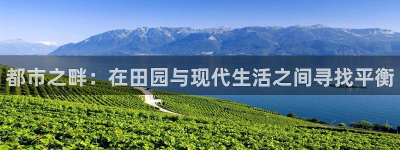 fh至尊平台怎么打不开了呢