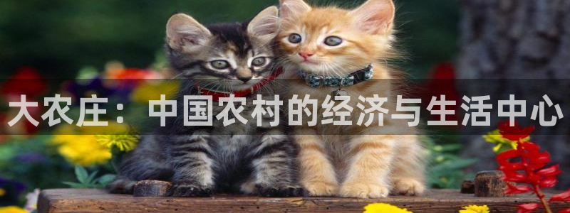 fh至尊是不是假的