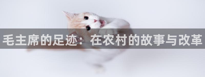 fh至尊是老凤凰吗