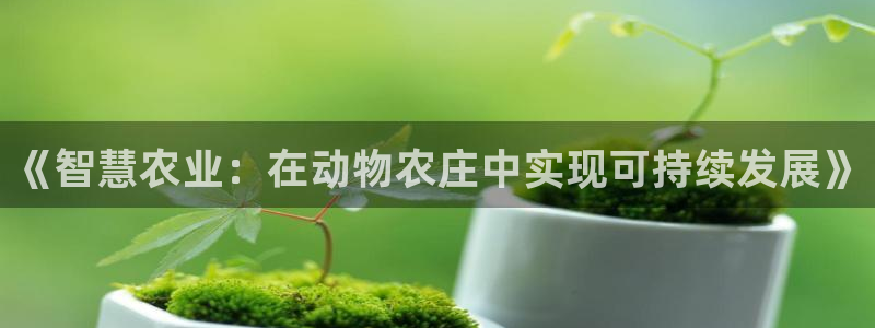 fh至尊网页登入