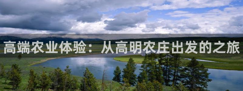 沃尔沃fh500至尊款