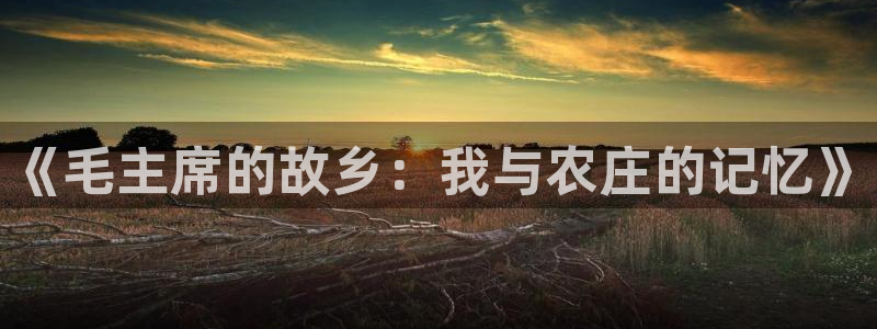 fh至尊官方网站