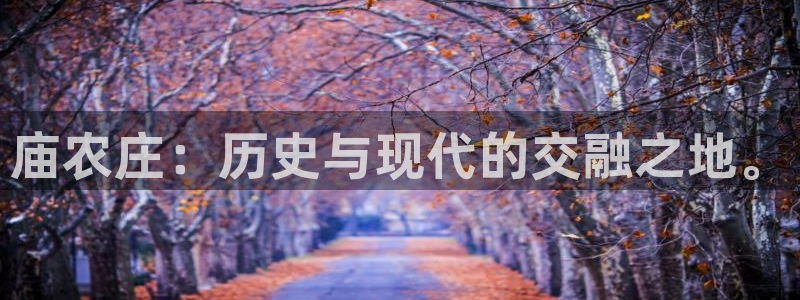 FH至尊出问题了