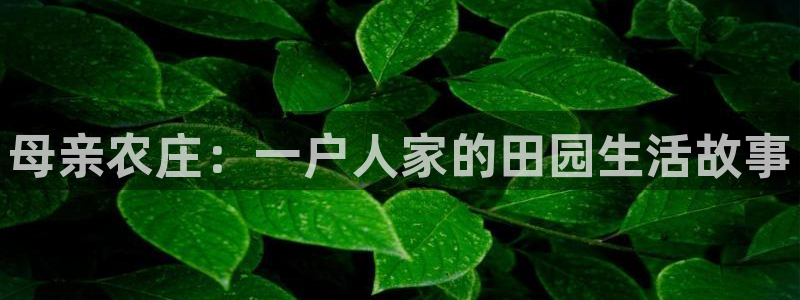 fh至尊是不是假的