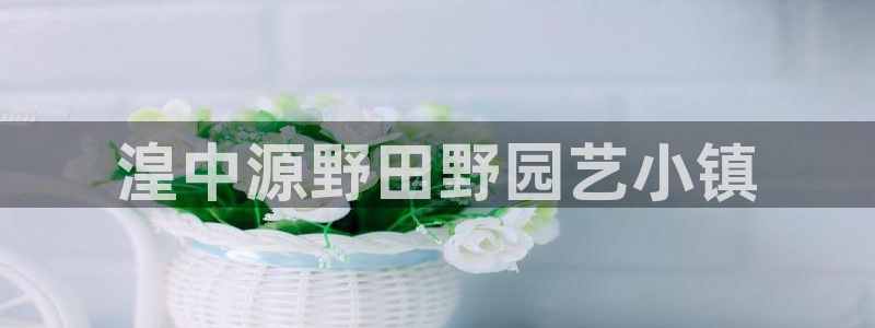 FH至尊开户链接