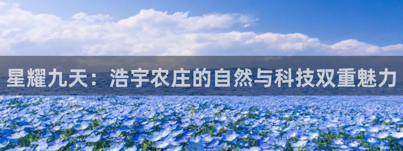 FH至尊不给提现