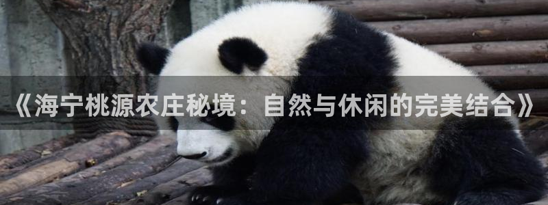 fh至尊怎么安装