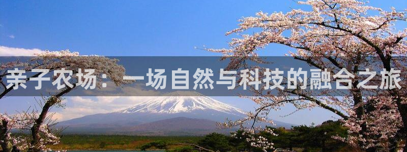 FH至尊隶属哪家公司