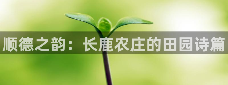 凤凰娱乐FH至尊