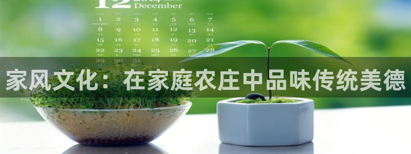 FH至尊平台老板是谁