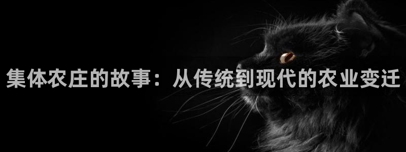 FH至尊平台注册