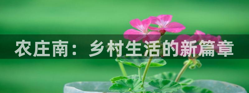 fh至尊凤凰代理