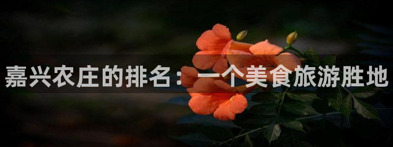 fh至尊游戏彩票