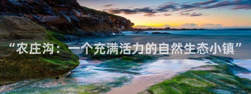 fh至尊怎么没有了