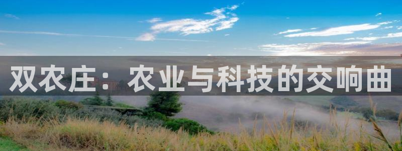 fh至尊是老凤凰平台吗