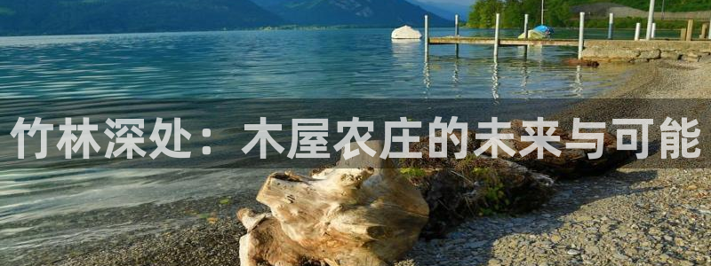 FH至尊平台老板是谁