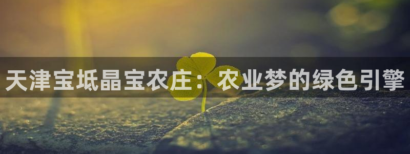 fh至尊游戏模式