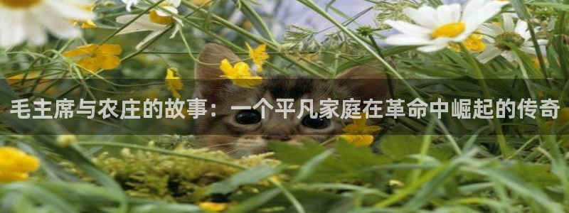 fh凤凰至尊平台