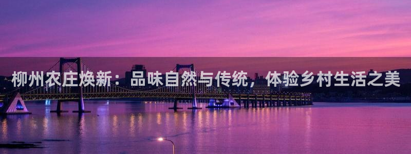 FH至尊是什么意思