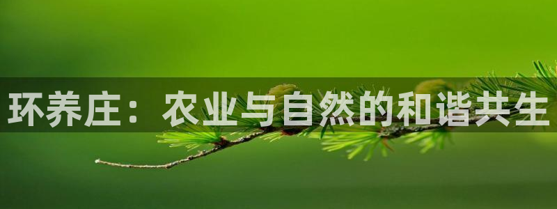 FH至尊娱乐下载二维码