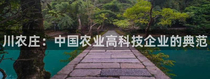 Fh至尊凤凰平台