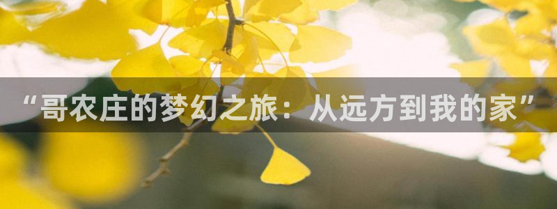 fh至尊是凤凰平台么